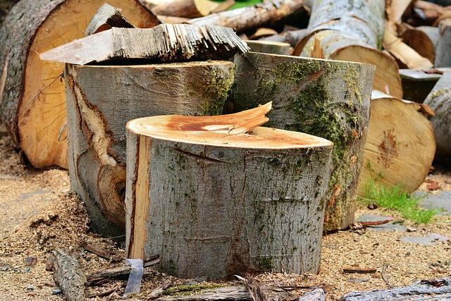 Opgrader din træbearbejdning med Bosch fræsejern: Effektivitet og kvalitet i ét
